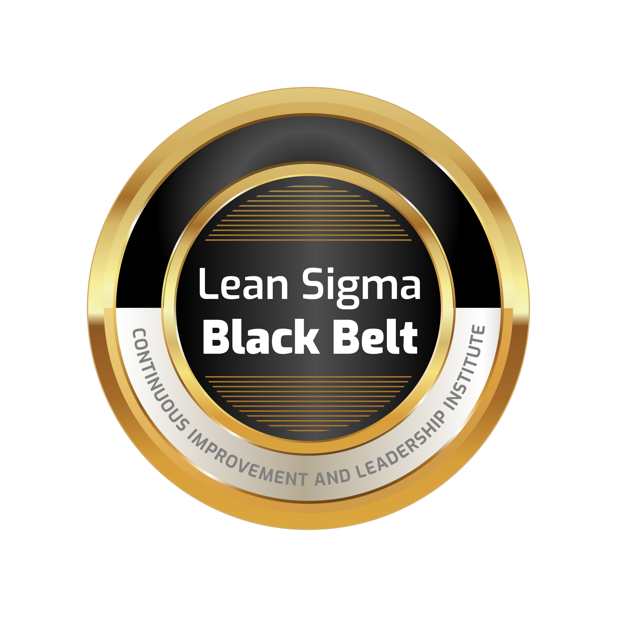 Lean Six Sigma Black Belt Cili 